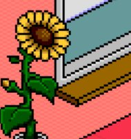 Background 1